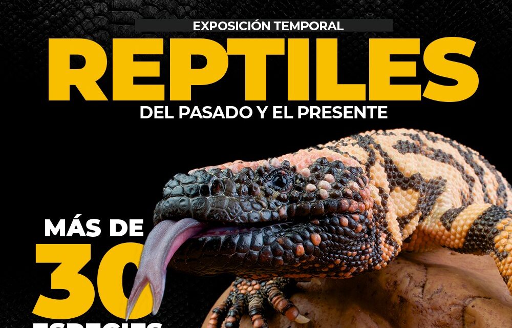 Prepara Zigzag segunda exhibición temporal del 2022 Reptiles del Pasado y del Presente