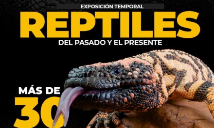 Prepara Zigzag segunda exhibición temporal del 2022 Reptiles del Pasado y del Presente